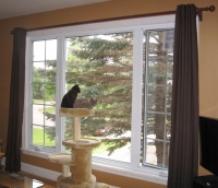 Filename=A_J_new_windows.jpg
Filesize=665KB
Dimensions=899x776
Date added=Sep 15, 2010 A_J_new_windows.jpg