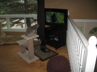 Filename=A_J_watching_tv.jpg
Filesize=464KB
Dimensions=900x675
Date added=Jun 21, 2010 A_J_watching_tv.jpg