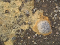 Filename=Hawaii_Volcano_Rocks.jpg
Filesize=624KB
Dimensions=900x675
Date added=Feb 21, 2008 Hawaii_Volcano_Rocks.jpg