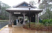 Filename=WDW_2011_mama_d_east_bus_depot2.jpg
Filesize=735KB
Dimensions=1047x667
Date added=Jan 25, 2011 WDW_2011_mama_d_east_bus_depot2.jpg