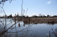 Filename=baie_verte_redwinged_blackbird_trail_lookout_pond.jpg
Filesize=641KB
Dimensions=1034x676
Date added=Apr 22, 2011 baie_verte_redwinged_blackbird_trail_lookout_pond.jpg