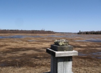 Filename=baie_verte_redwinged_blackbird_trail_lookout_post.jpg
Filesize=601KB
Dimensions=979x713
Date added=Apr 22, 2011 baie_verte_redwinged_blackbird_trail_lookout_post.jpg