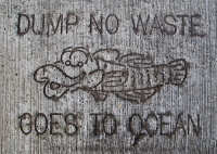 Filename=dump-no-waste-goes-to-ocean.jpg
Filesize=308KB
Dimensions=900x643
Date added=Feb 28, 2008 dump-no-waste-goes-to-ocean.jpg