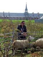 Filename=fort-louisburg-sheep.jpg
Filesize=576KB
Dimensions=900x1200
Date added=Mar 08, 2014 fort-louisburg-sheep.jpg