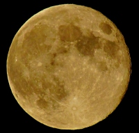 Filename=full-moon-picture.jpg
Filesize=195KB
Dimensions=1200x1151
Date added=Sep 18, 2011 full-moon-picture.jpg
