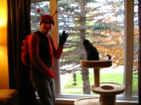 Filename=halloween_jasper_dami_window.jpg
Filesize=655KB
Dimensions=965x724
Date added=Nov 05, 2010 halloween_jasper_dami_window.jpg