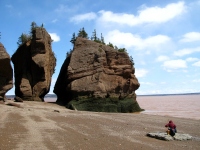 Filename=hopewell-rocks-new-brunswick-picnic-low-tide.jpg
Filesize=284KB
Dimensions=1200x900
Date added=Apr 22, 2011 hopewell-rocks-new-brunswick-picnic-low-tide.jpg