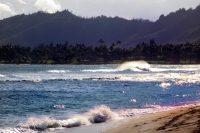 Filename=kauai-surf-coconut-grove.jpg
Filesize=153KB
Dimensions=900x600
Date added=Feb 21, 2008 kauai-surf-coconut-grove.jpg