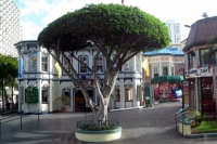 Filename=kings-village-waikiki.jpg
Filesize=154KB
Dimensions=900x600
Date added=Feb 12, 2008 kings-village-waikiki.jpg