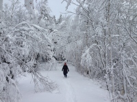 Filename=mapleton-park-snow-walk-dd.jpg
Filesize=496KB
Dimensions=1200x900
Date added=Dec 29, 2015 mapleton-park-snow-walk-dd.jpg