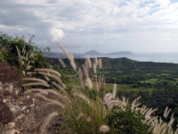Filename=scenic-diamondhead-grass-seacoast.jpg
Filesize=172KB
Dimensions=900x675
Date added=Feb 11, 2008 scenic-diamondhead-grass-seacoast.jpg