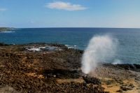 Filename=spouting-horn.jpg
Filesize=145KB
Dimensions=900x600
Date added=Mar 23, 2008 spouting-horn.jpg