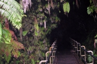 Filename=thurston-lava-tube-entrance.jpg
Filesize=168KB
Dimensions=900x600
Date added=Feb 11, 2008 thurston-lava-tube-entrance.jpg