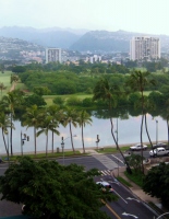 Filename=waikiki-ala-wai-canal.jpg
Filesize=85KB
Dimensions=545x700
Date added=Mar 23, 2008 waikiki-ala-wai-canal.jpg