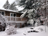 Filename=winter-backyard-mountain-ash-snow.jpg
Filesize=708KB
Dimensions=1400x1050
Date added=Dec 29, 2015 winter-backyard-mountain-ash-snow.jpg
