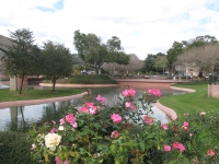 Filename=epcot_roses.jpg
Filesize=498KB
Dimensions=1200x900
Date added=Dec 01, 2013 epcot_roses.jpg