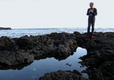 DAMI stands on the Black sand beaches of Hawaii looking for turtles. Photo by DD.